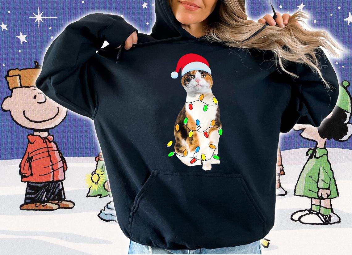 Christmas Calico Cat Gift - Calico cat Funny Santa Hat Xmas t-shirt hoodie