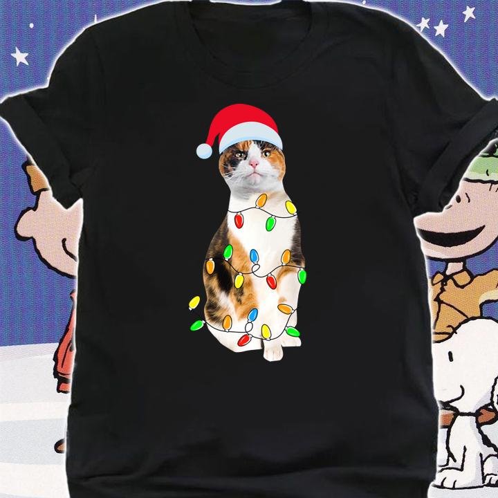 Christmas Calico Cat Gift - Calico cat Funny Santa Hat Xmas t-shirt shirt
