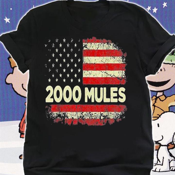 2000 Mules, Pro Trump 2024 T-Shirt t-shirt shirt
