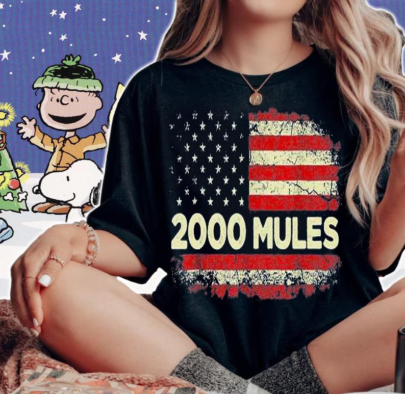 2000 Mules, Pro Trump 2024 T-Shirt t-shirt woman shirt