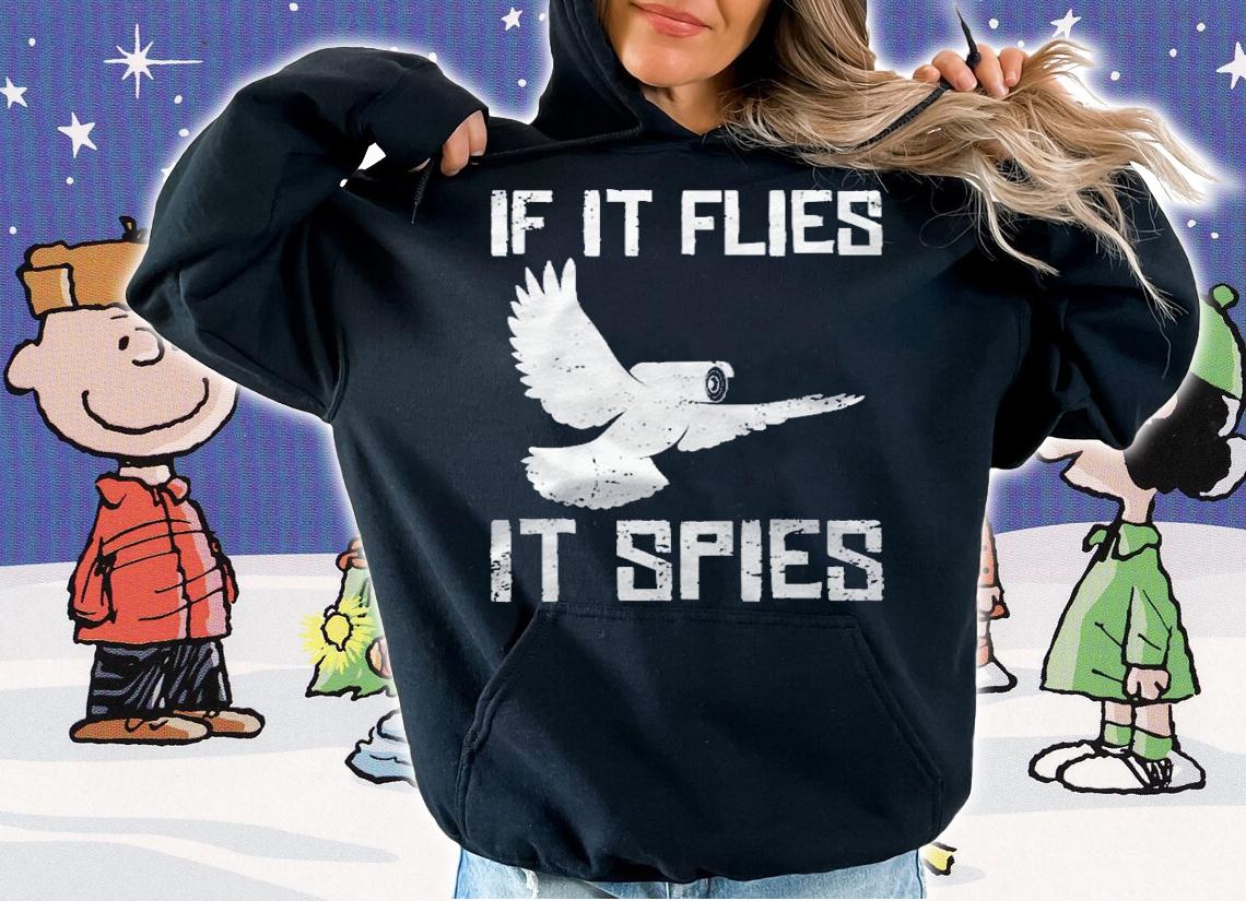 If It Flies It Spies Conspiracy Theory Birds Arent Real Raglan Baseball Shirt hoodie