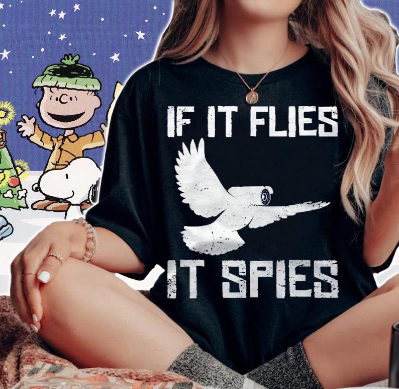 If It Flies It Spies Conspiracy Theory Birds Arent Real Raglan Baseball Shirt woman shirt